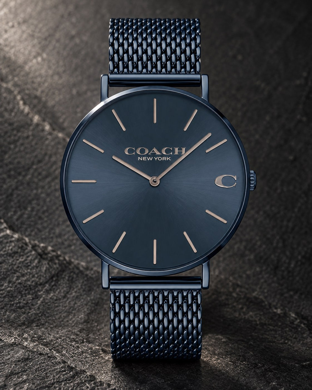 Coach watch 14602146 product view 2