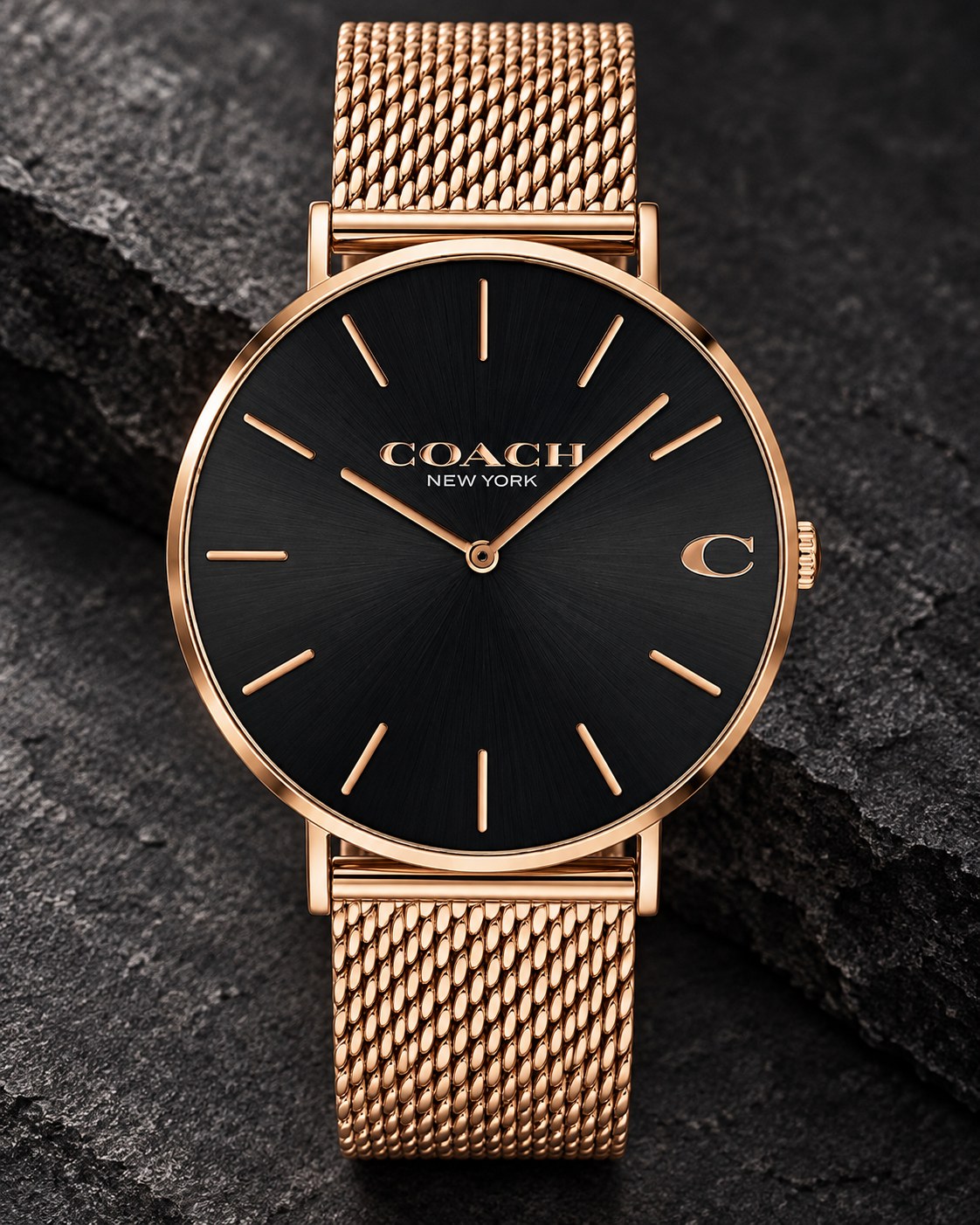 Coach watch 14602251 product view 2