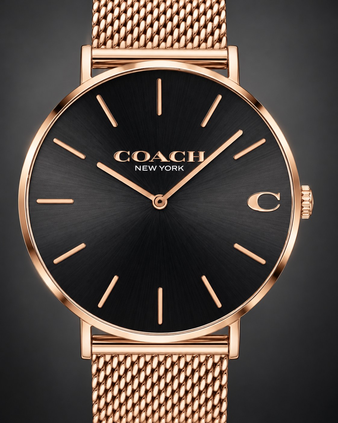 Coach watch 14602251 product view 3