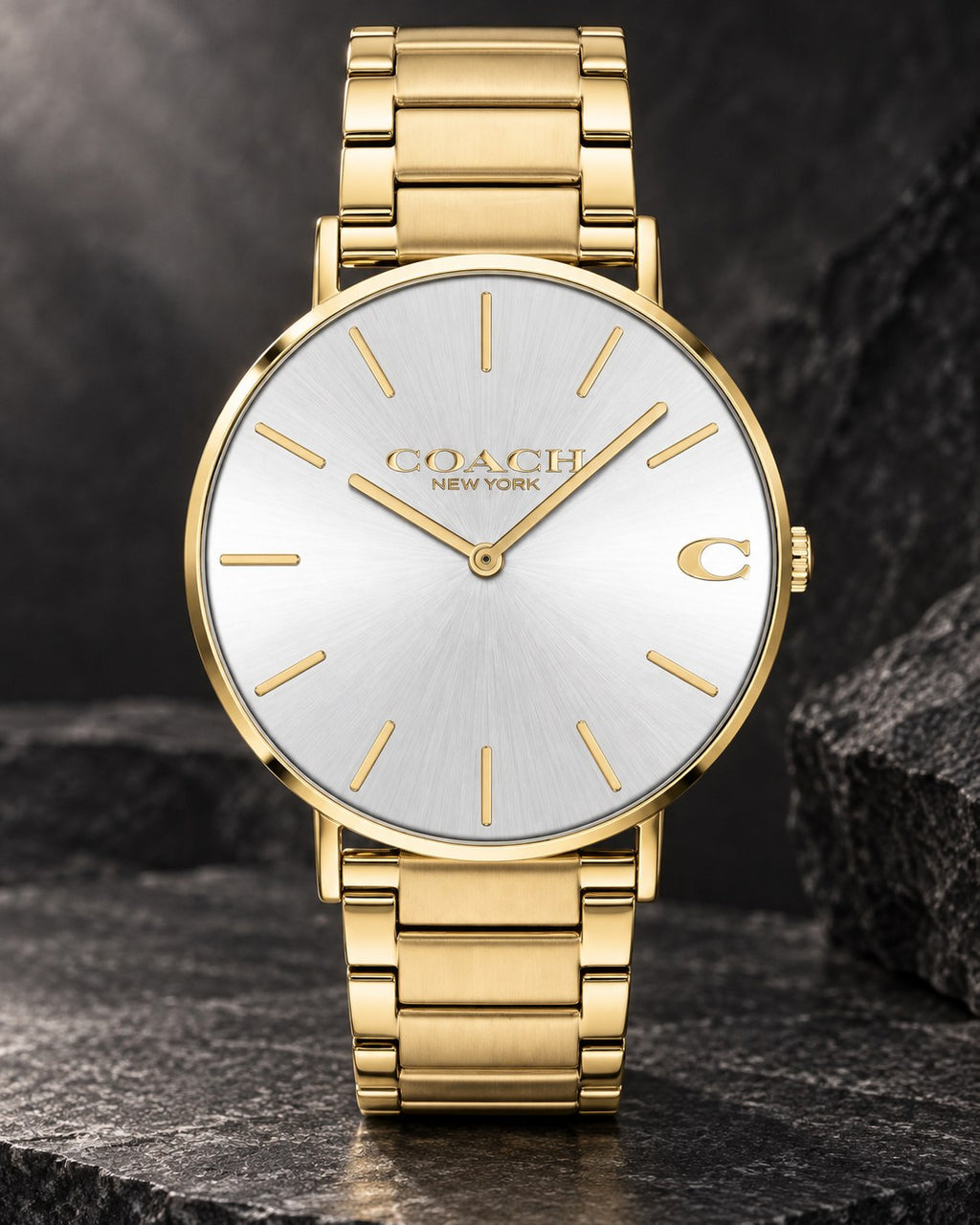Coach watch 14602430 product view 2