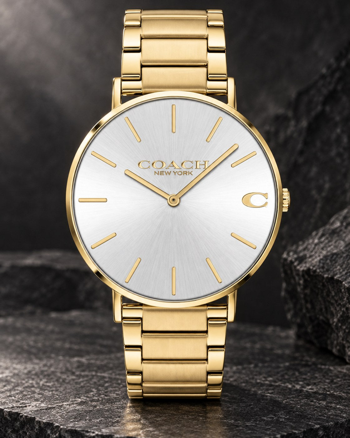 Coach watch 14602430 product view 2