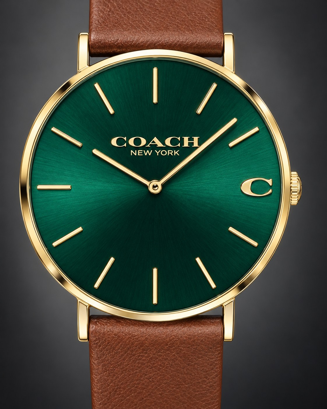 Coach watch 14602435 product view 3