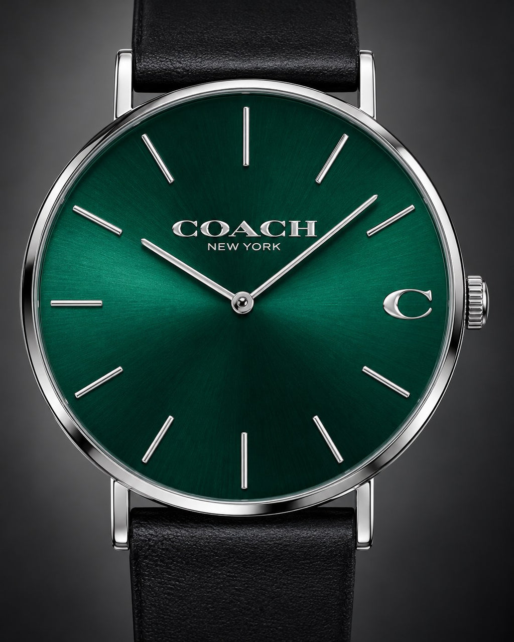 Coach watch 14602436 product view 3