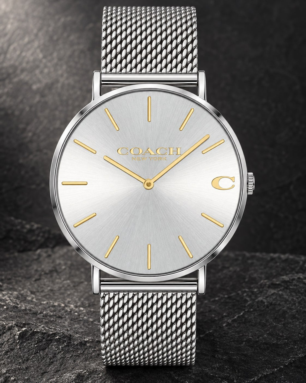 Coach watch 14602439 product view 2
