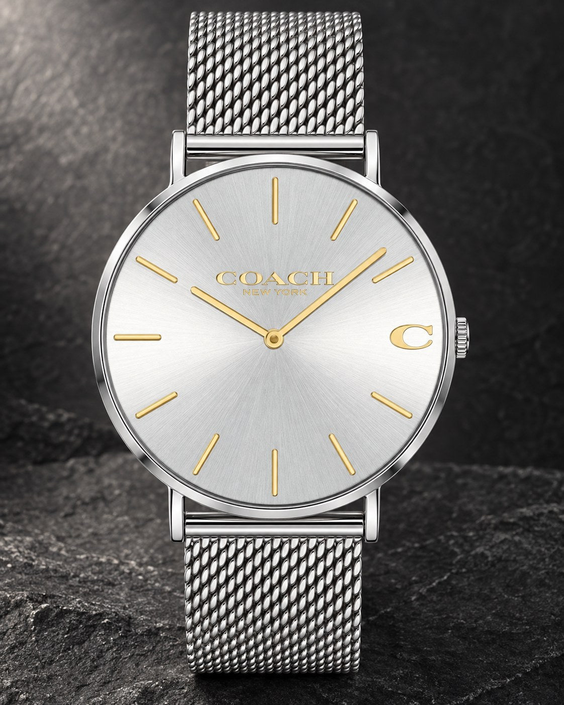 Coach watch 14602439 product view 2