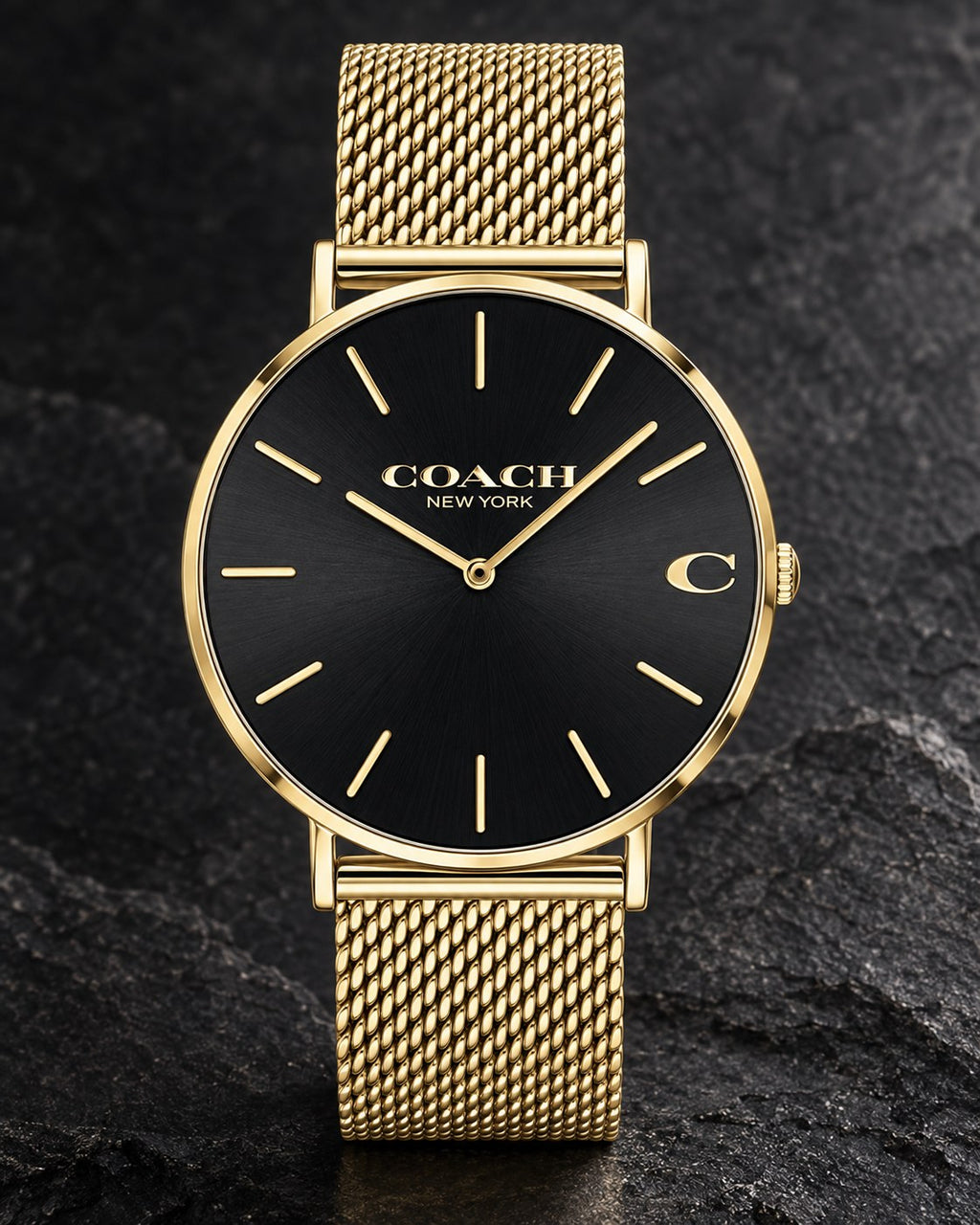 Coach watch 14602440 product view 2