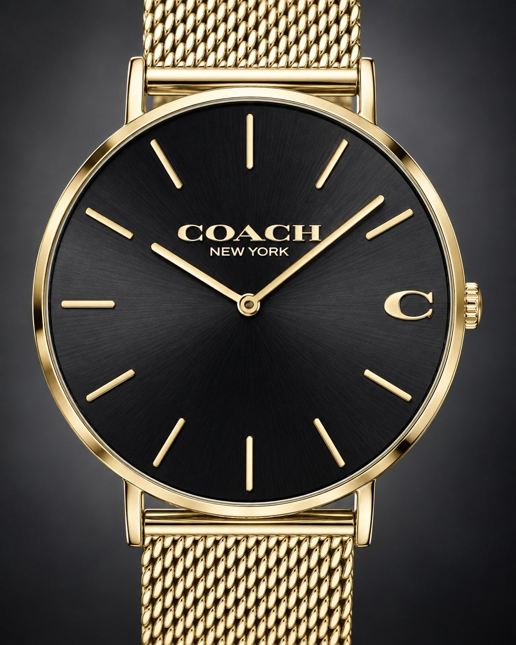 Coach watch 14602440 product view 3