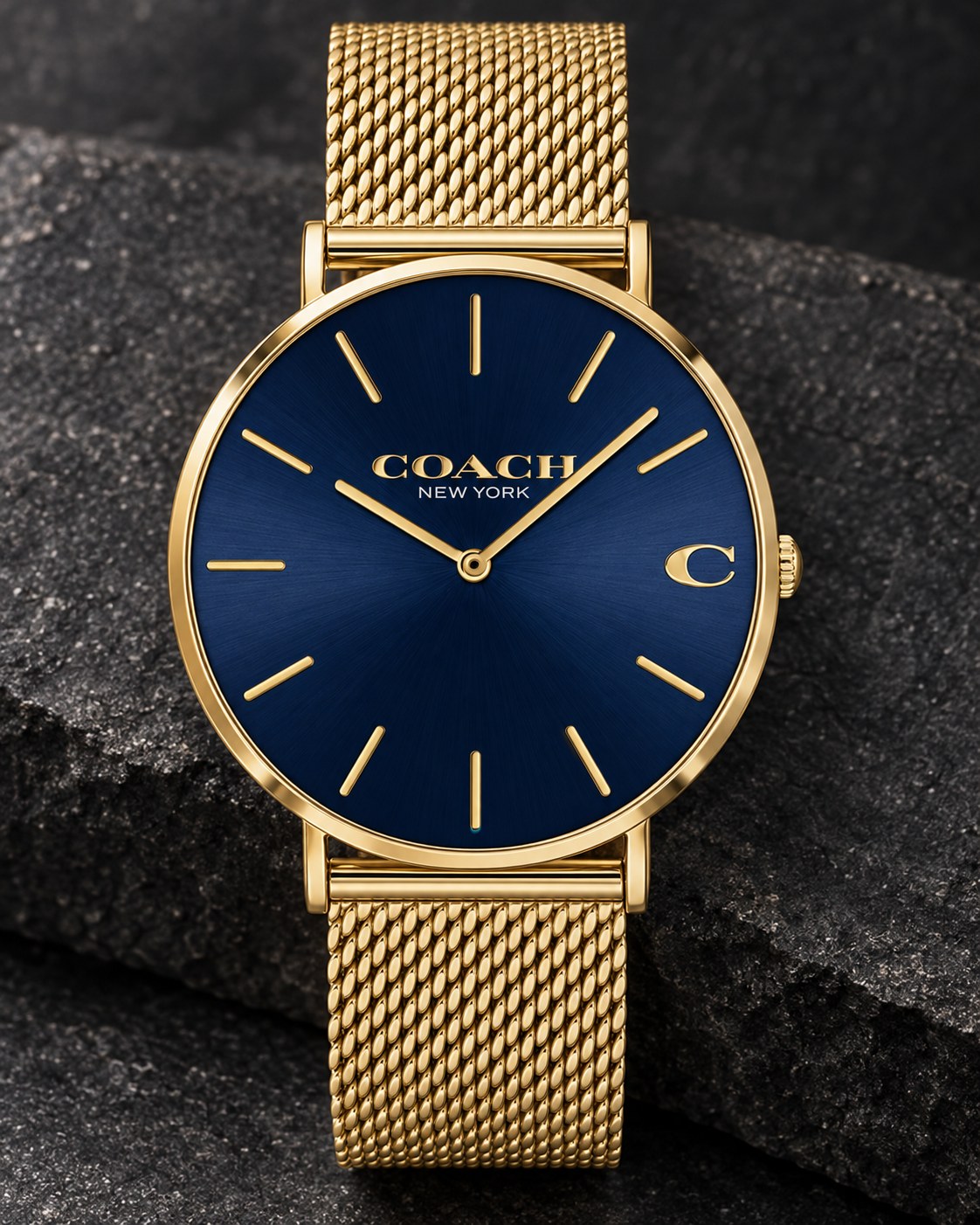 Coach watch 14602552 product view 2