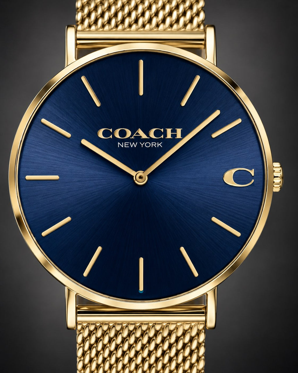 Coach watch 14602552 product view 3