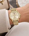 Tommy Hilfiger watch 1782302 worn on wrist